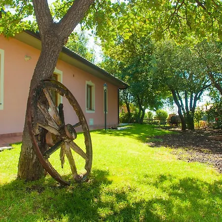 Bed & Breakfast Poggiofelice *